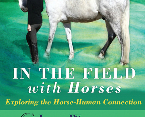 In The Field With Horses