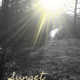 Sunset in the Morning